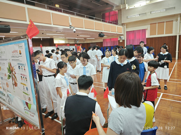 activities1562d